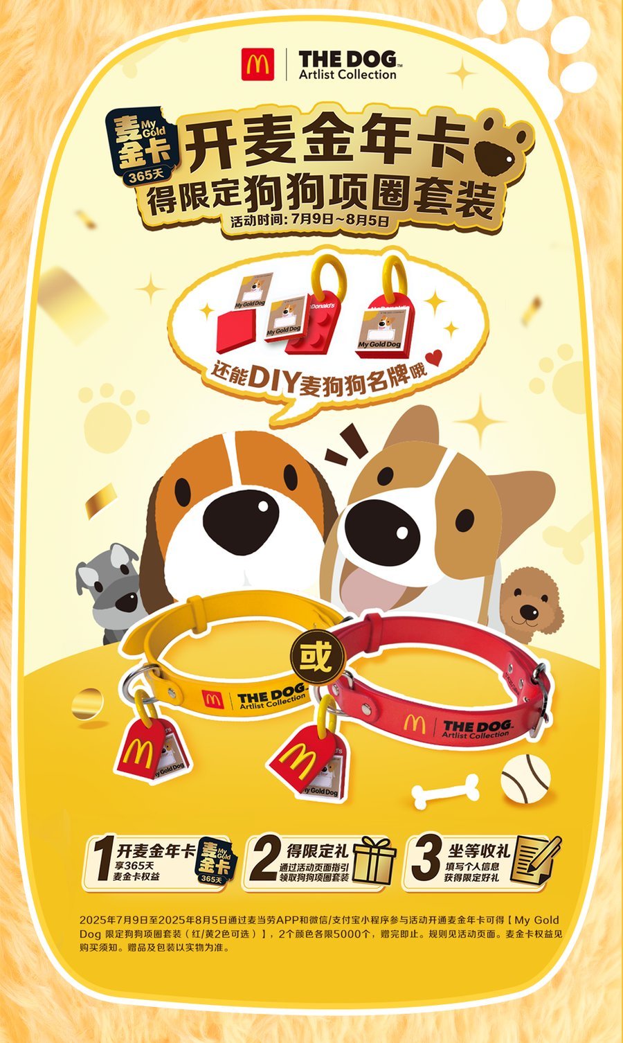 My Gold Dog 限定狗狗项圈套装